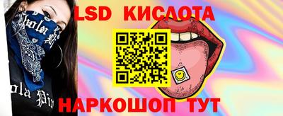 наркотики Сланцы