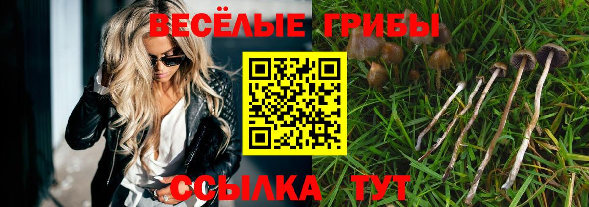 Псилоцибиновые грибы прущие грибы Печора